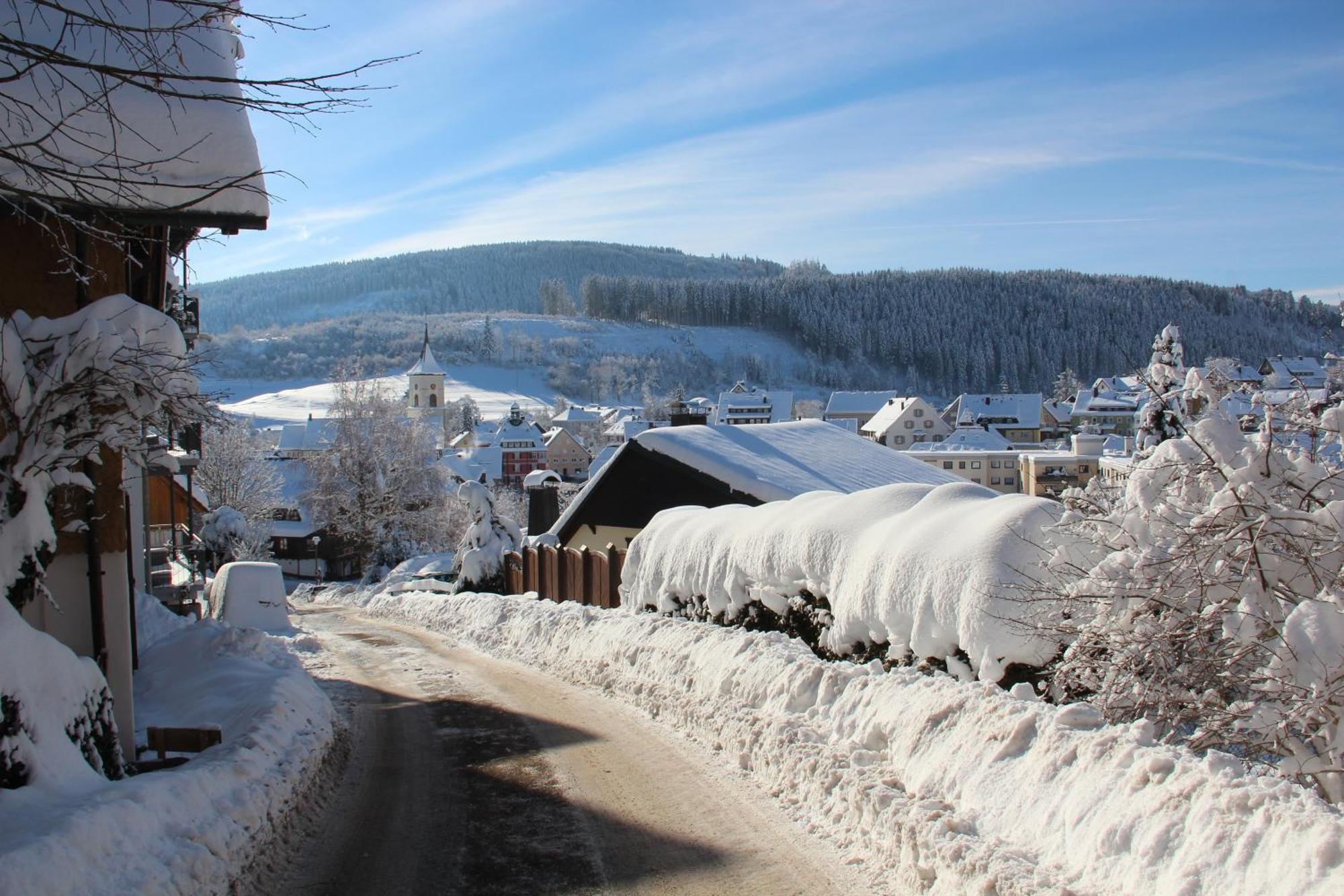 Ferienwohnung Sommerberg, Lenzkirch, 2 Schlafzimmer Екстериор снимка