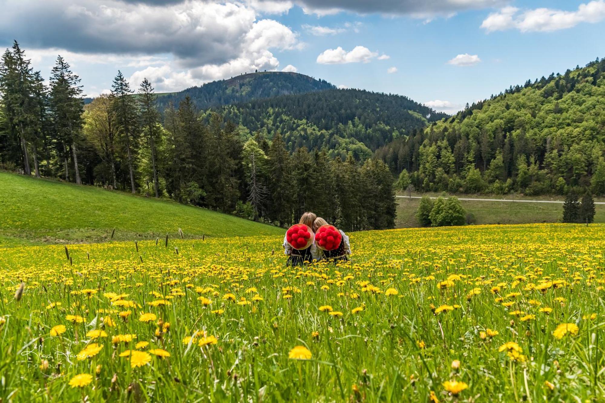 Ferienwohnung Sommerberg, Lenzkirch, 2 Schlafzimmer Екстериор снимка